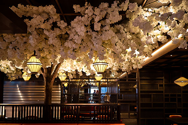 Le restaurant asiatique de l'EXPLORA III, le Sakura